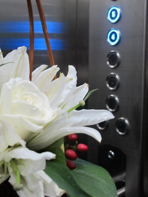 Hanoi Finnegans Hotel Εξωτερικό φωτογραφία